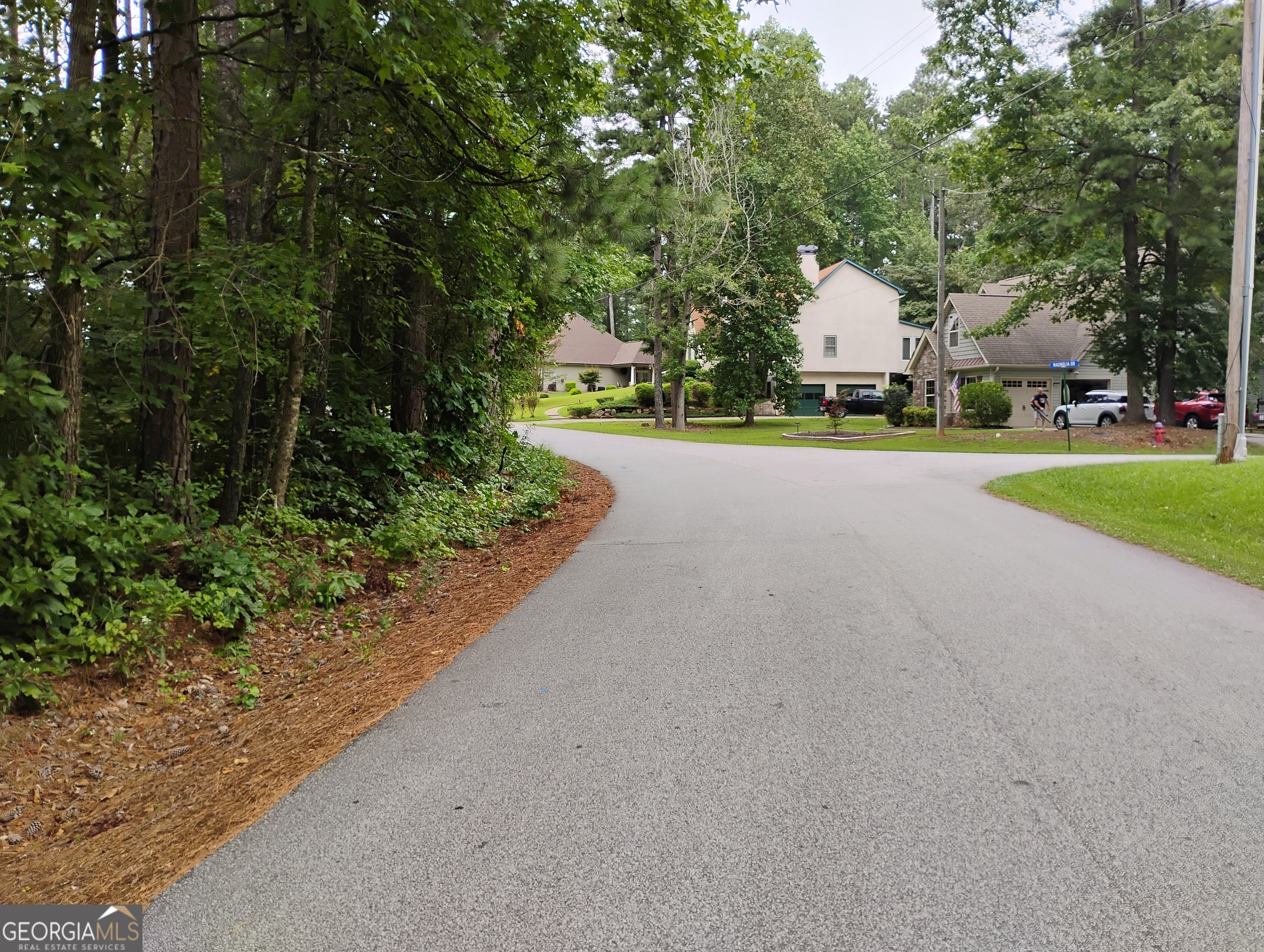 1157 Magnolia DR