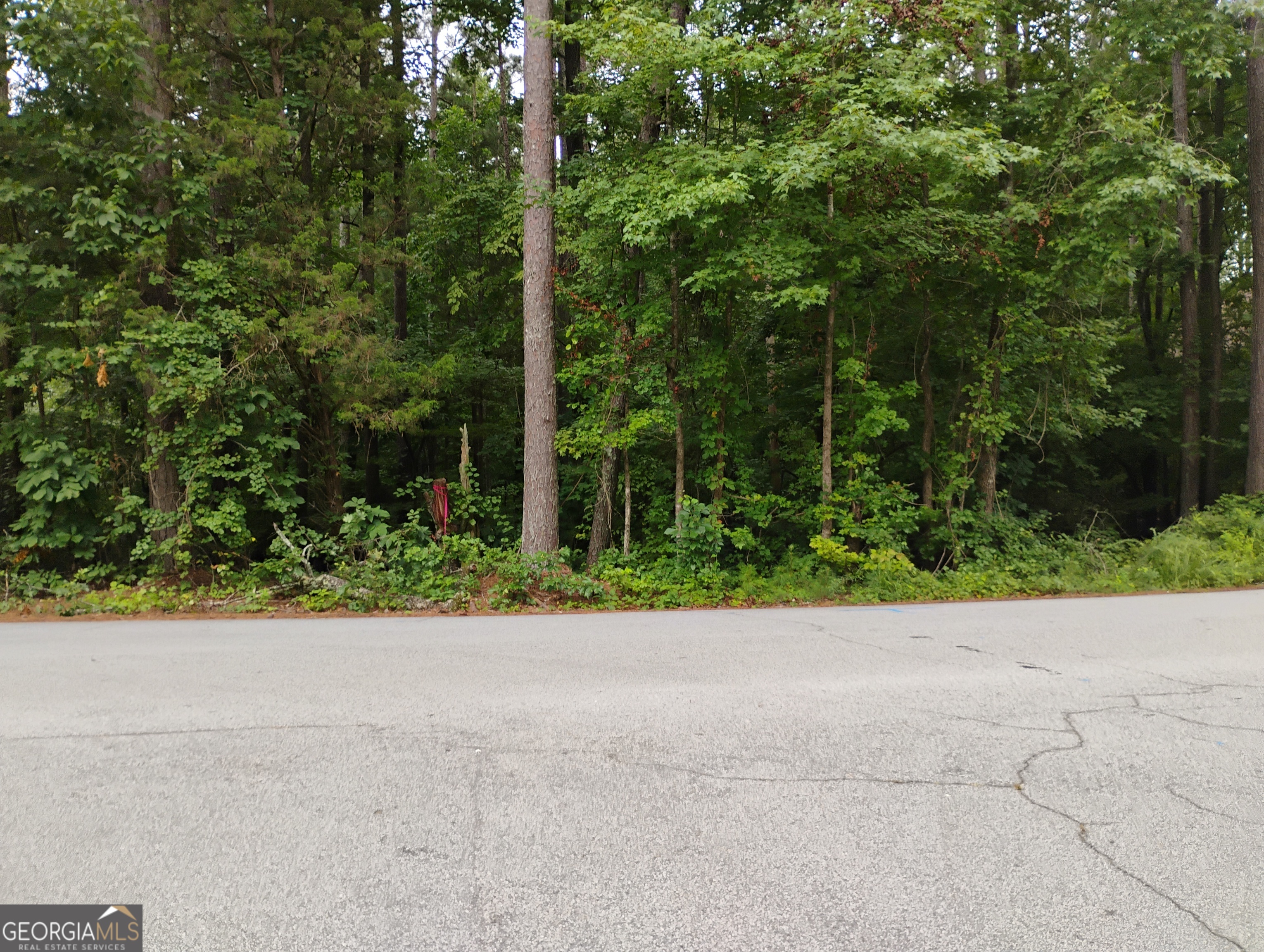 1157 Magnolia DR