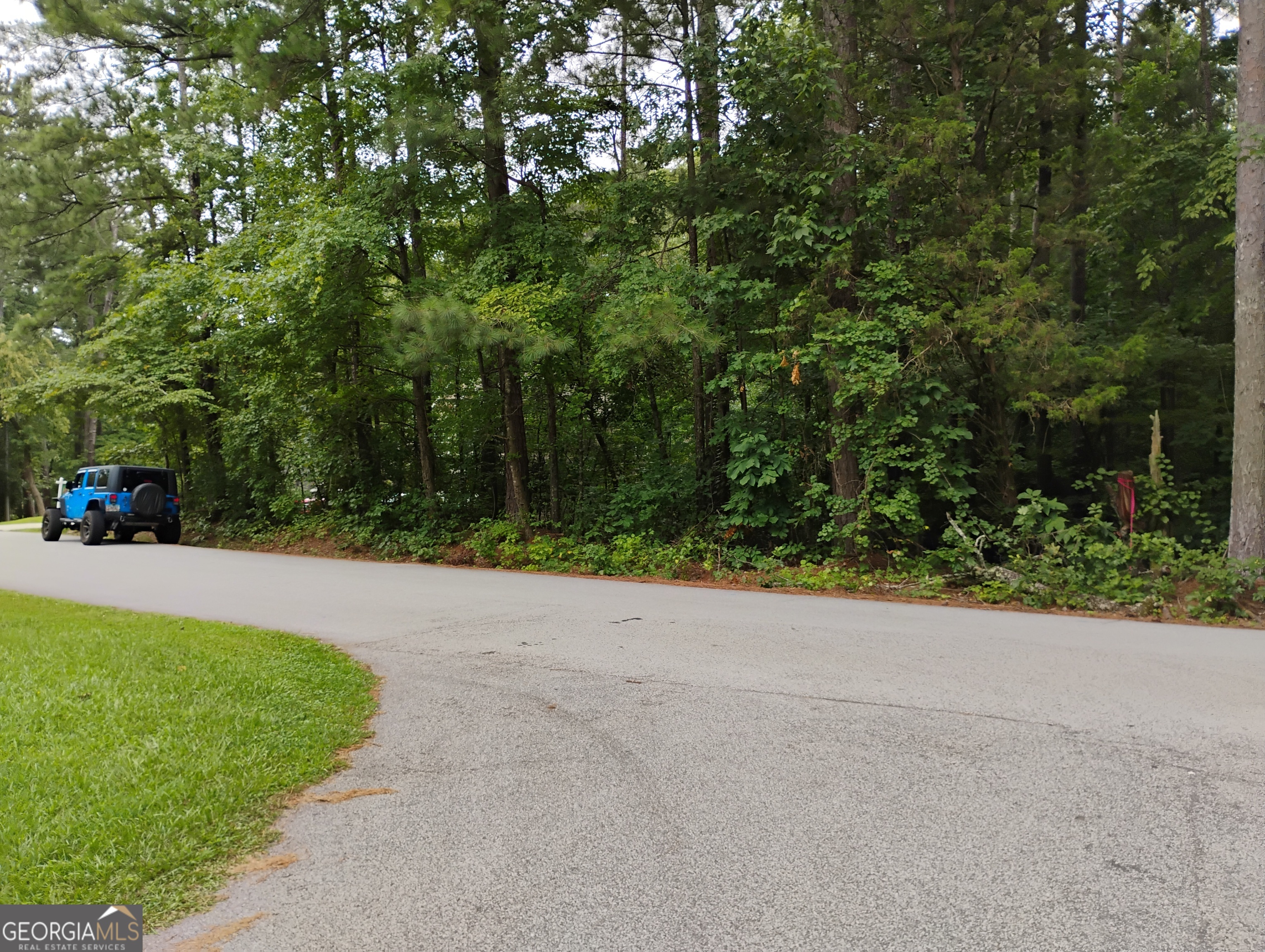 1157 Magnolia DR