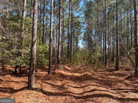 Photo of 0 Old Dixie Hwy North, Newington, GA 30446 (MLS # 10704044)