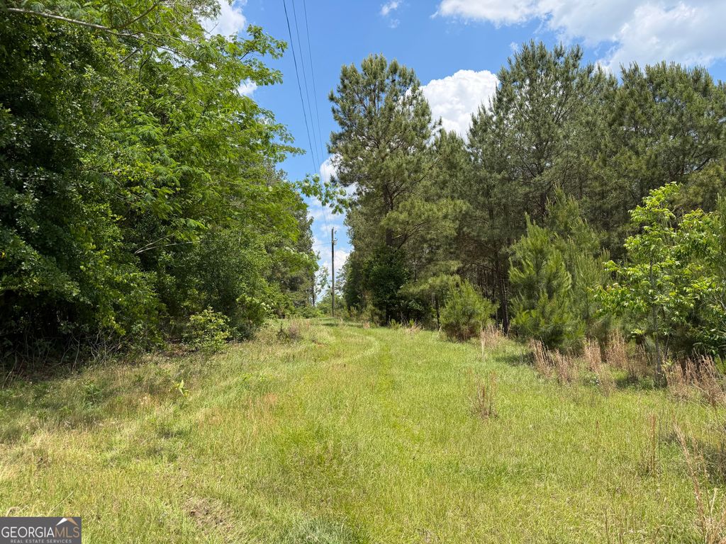 Photo of 7 Long Branch Rd, Toomsboro, GA 31090 (MLS # 10761567)