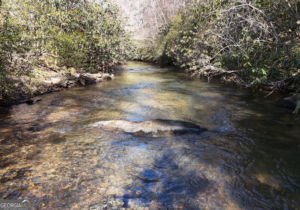 Photo of 150 Donna Lee Lane, Mineral Bluff, GA 30559 (MLS # 10687301)