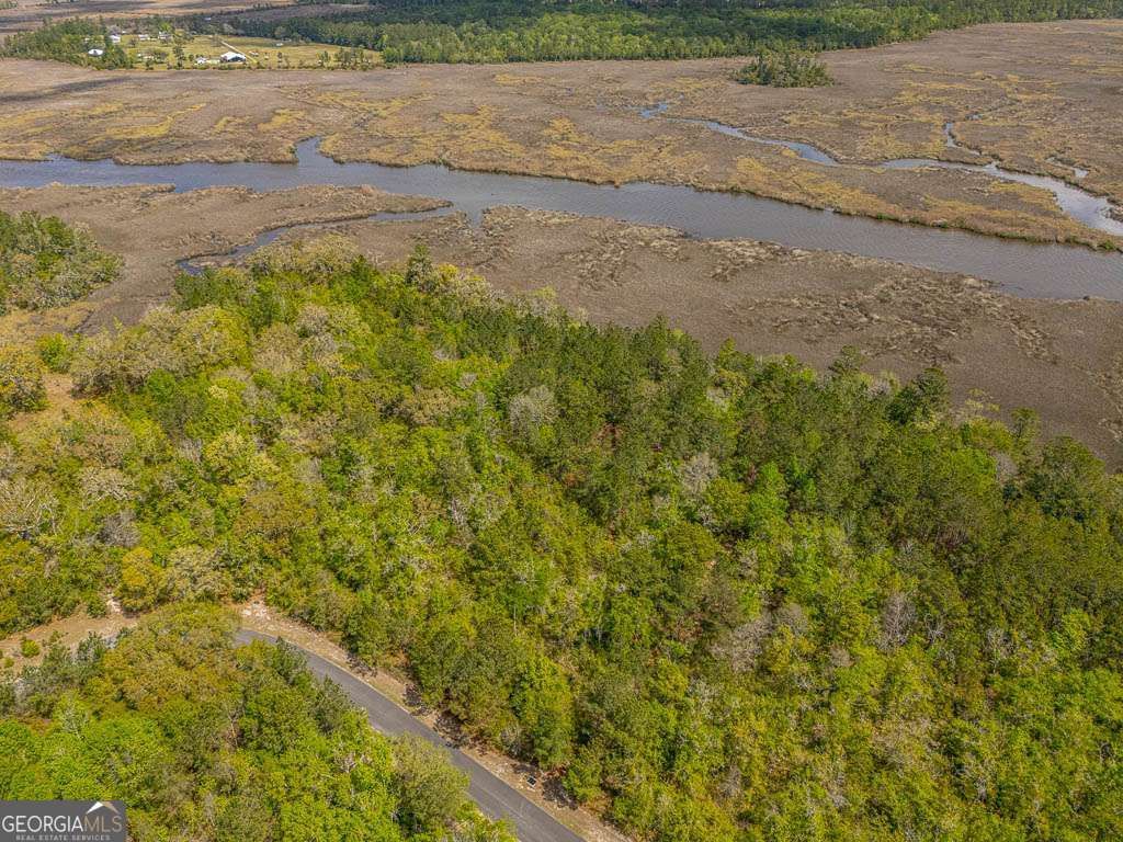 Photo of 47 Waverly Lane, White Oak, GA 31568 (MLS # 10724799)