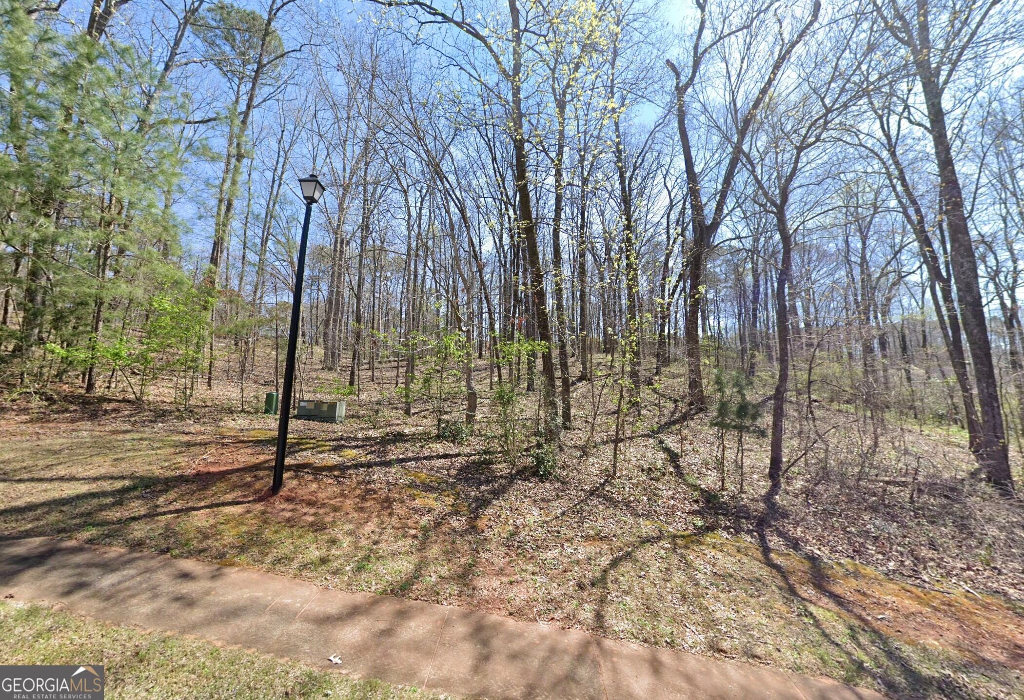 104 Hidden Branches LN