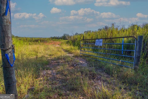 Photo of 1 Highway 0036, Woodland, GA 31836 (MLS # 10837371)