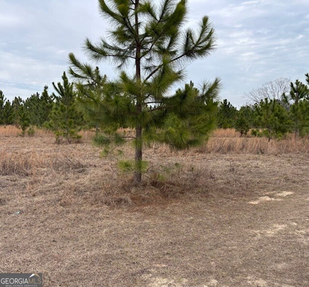 Photo of 0 Oakridge Church Road, Tifton, GA 31794 (MLS # 10691546)