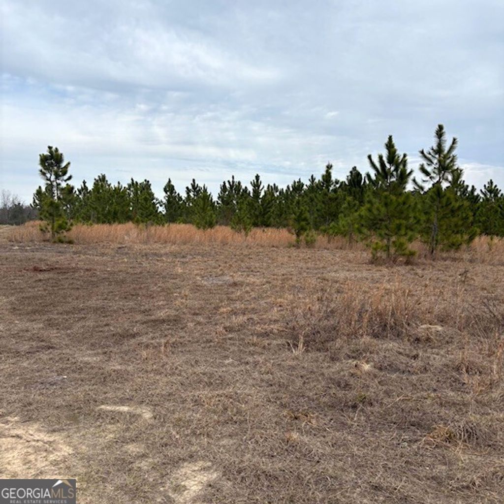 Photo of 0 Oakridge Church Road, Tifton, GA 31794 (MLS # 10691546)