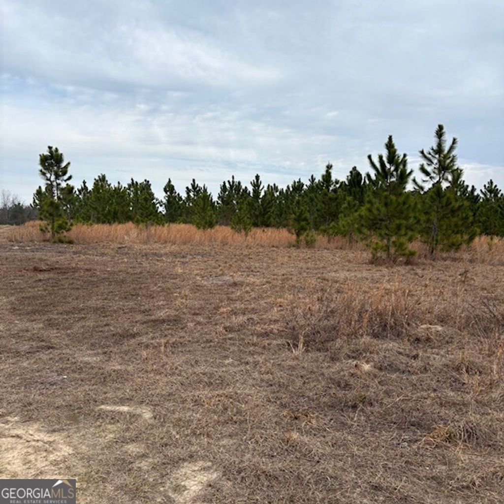 Photo of 0 Oakridge Church Road, Tifton, GA 31794 (MLS # 10691546)