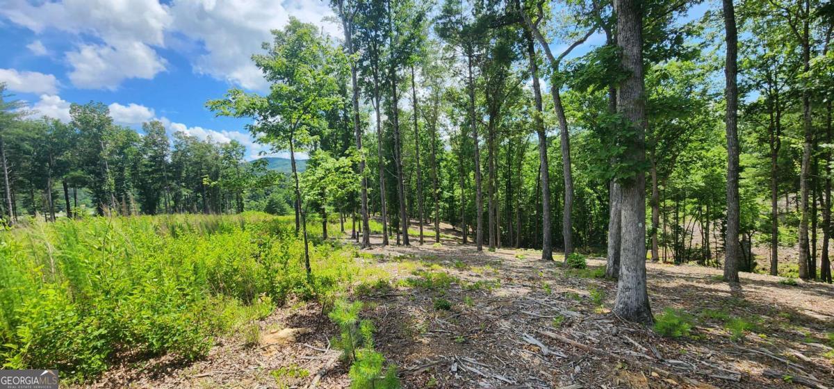 LT 106 Split Creek RD 106