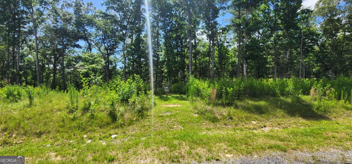 LT 106 Split Creek RD 106