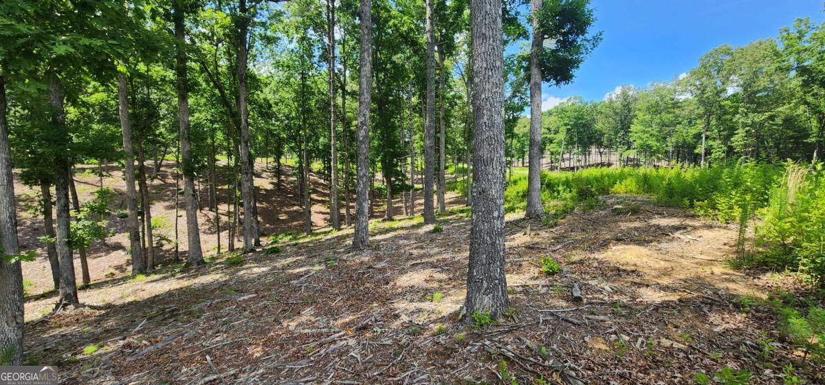 LT 106 Split Creek RD 106