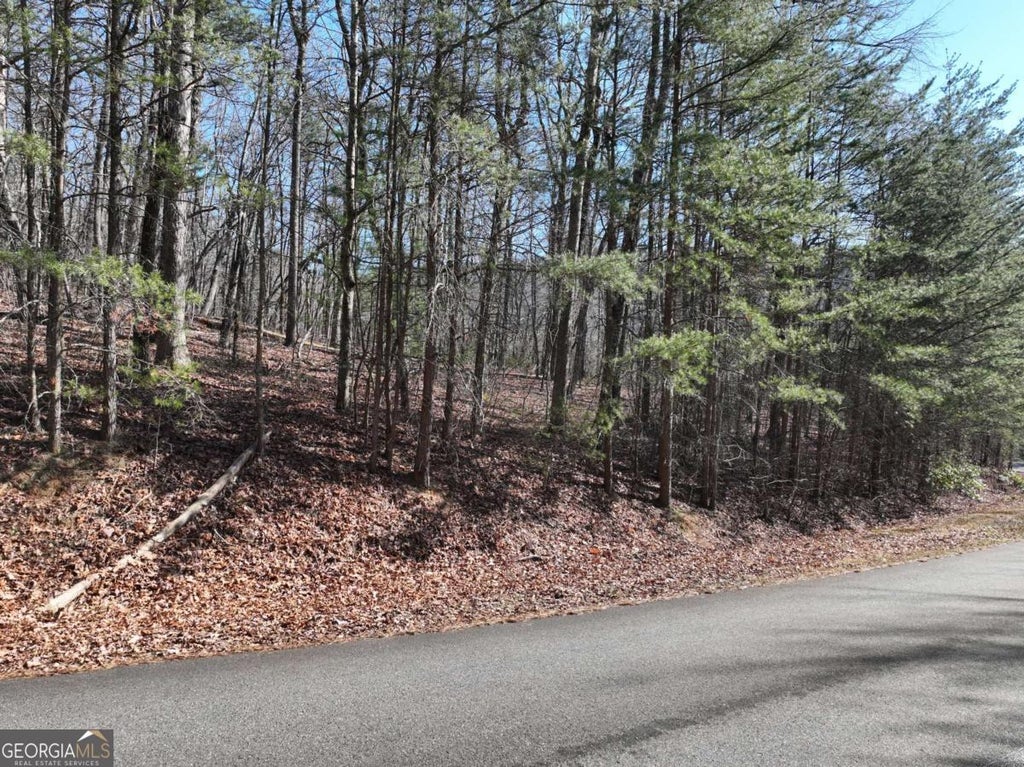 Photo of 58 Saint Andrews Way, Ellijay, GA 30536 (MLS # 10824513)