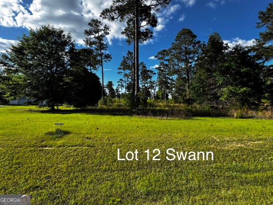 SWANN DR E, CORDELE, GA 31015 - Image b2aa6be917fbb636430cede23707ea12/1035959033