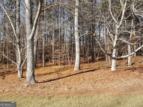 Photo of 104 Hawks Court, Ball Ground, GA 30107 (MLS # 10870669)