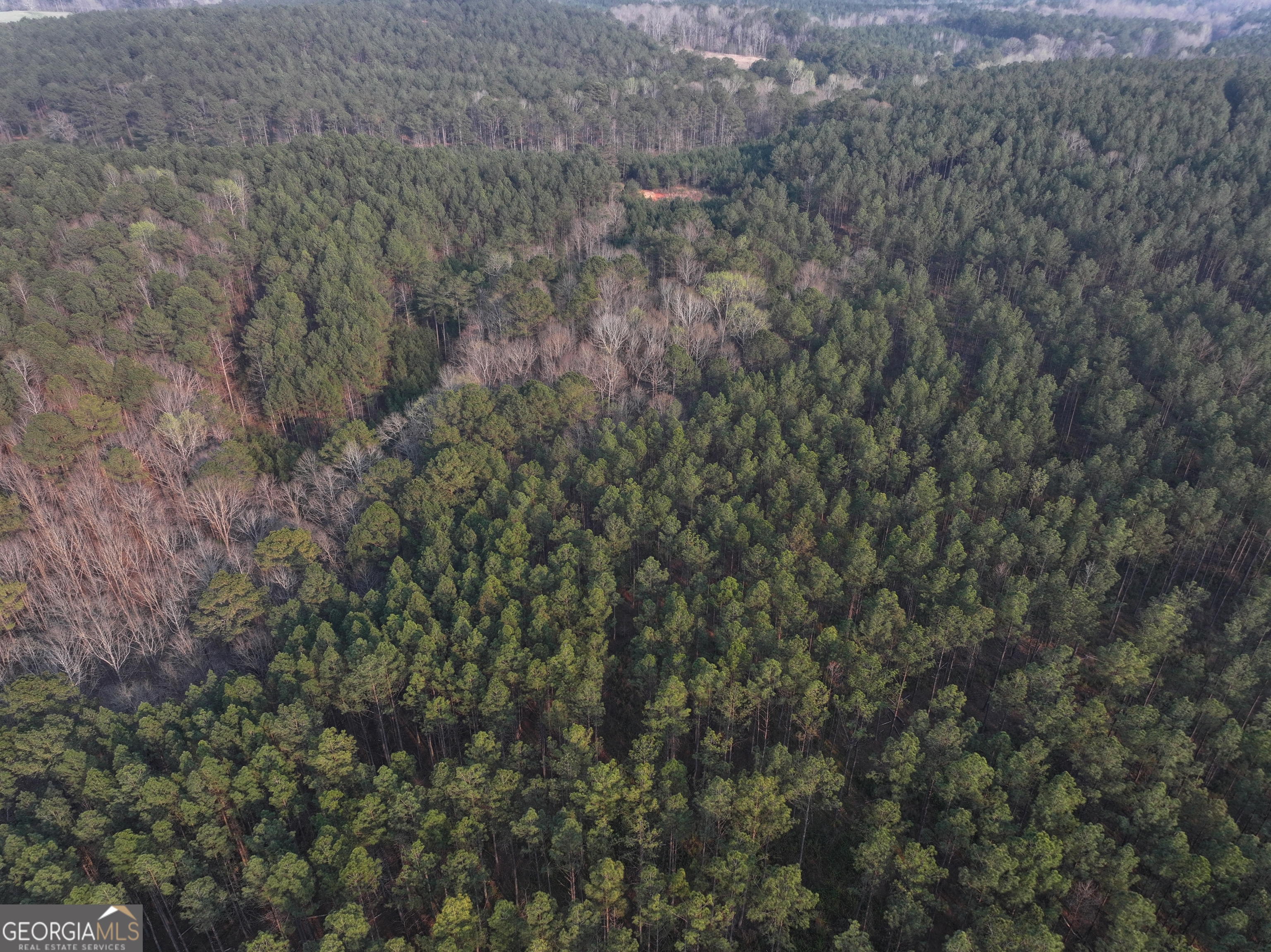 117 +/- Acres on McCosh Mill Rd.