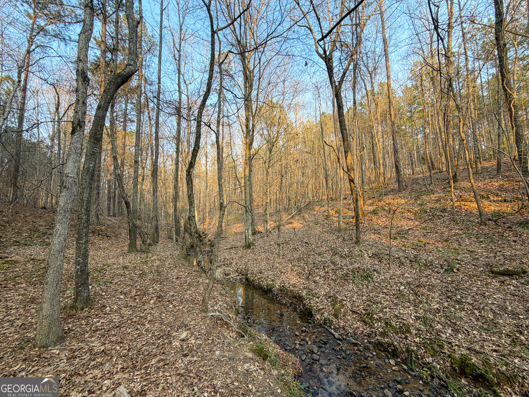 117 +/- Acres on McCosh Mill Rd.