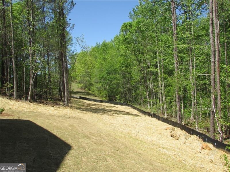 Dallas, Georgia 30157, United States, 4 Bedrooms Bedrooms, ,3 BathroomsBathrooms,Residential,Active,116203