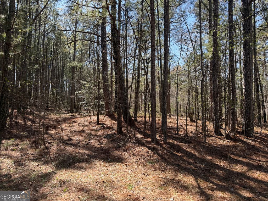 Photo of 1430 Cleveland Farm Road, Locust Grove, GA 30248 (MLS # 10713093)