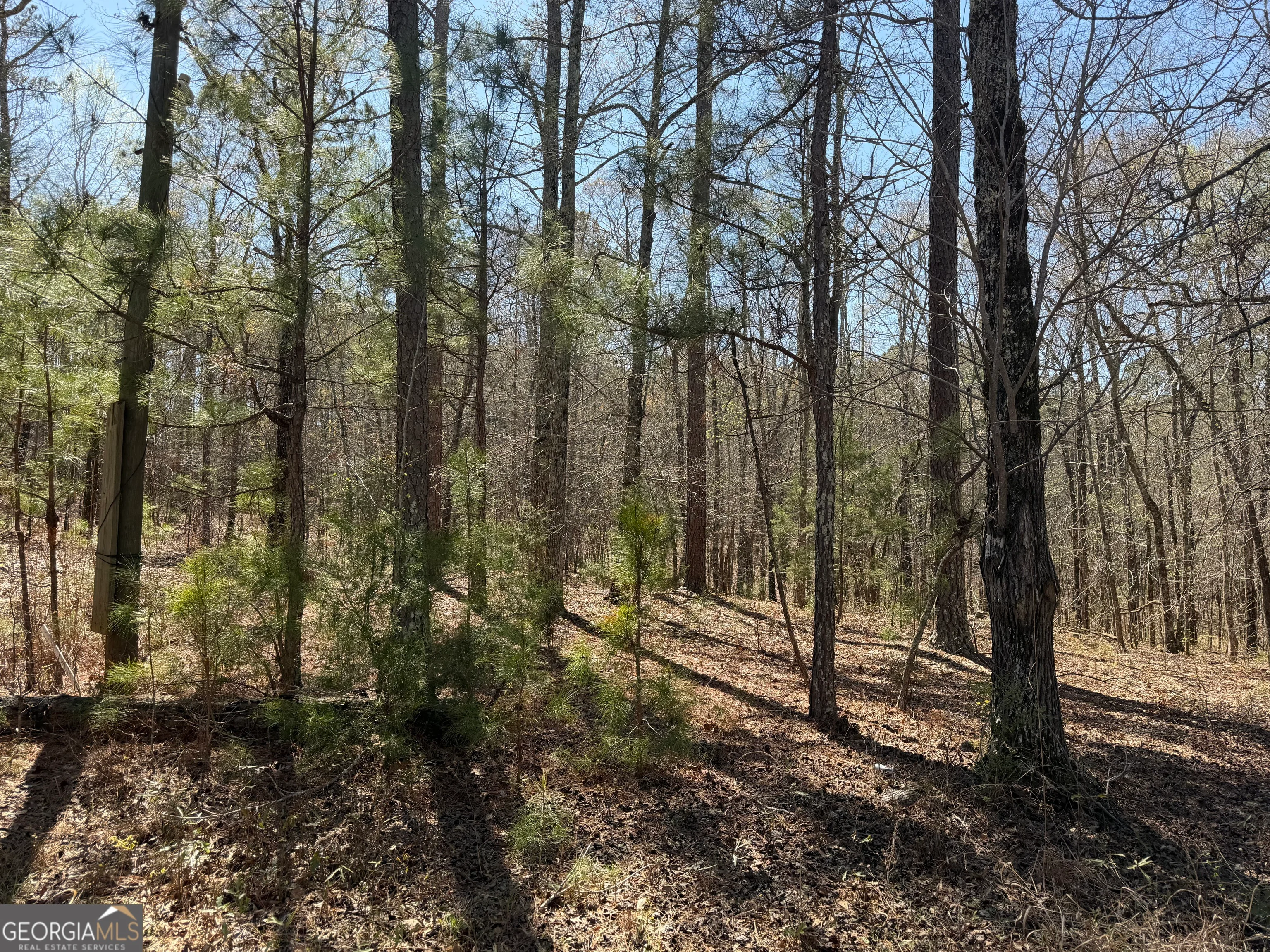 1430 Cleveland Farm Road