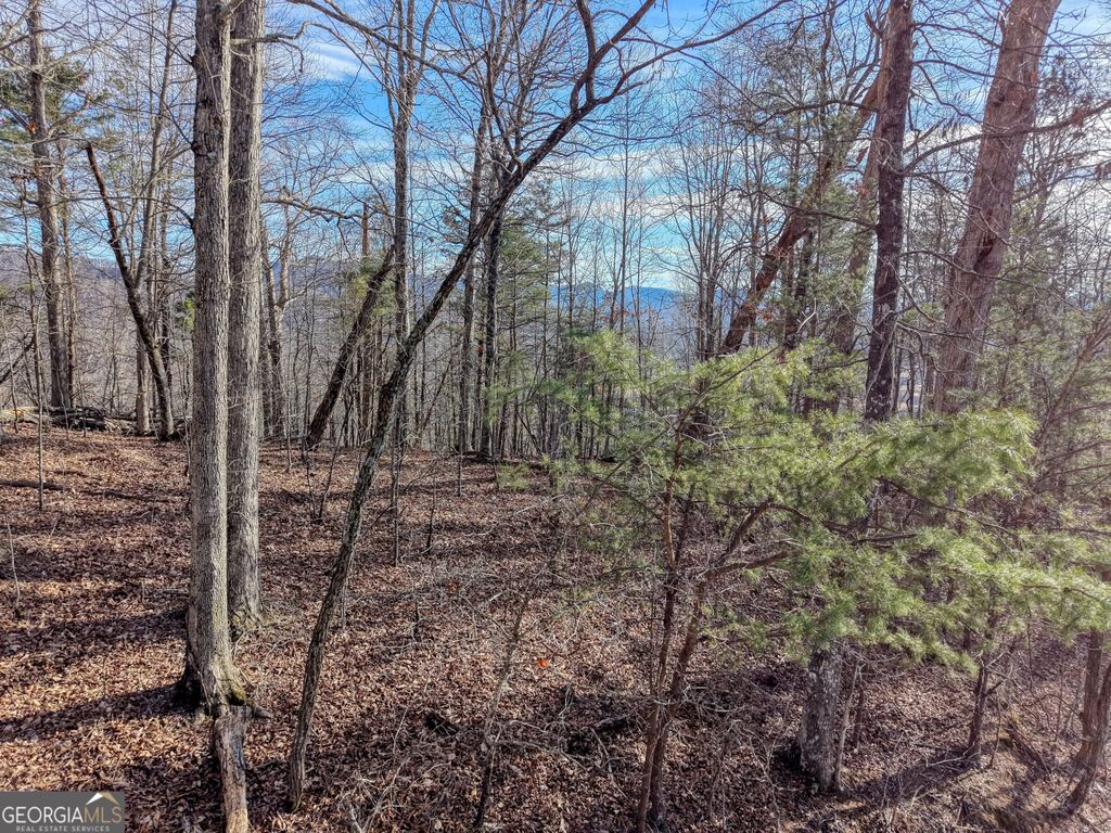 Photo of 5 Harris Ridge, Young Harris, GA 30582 (MLS # 10692163)