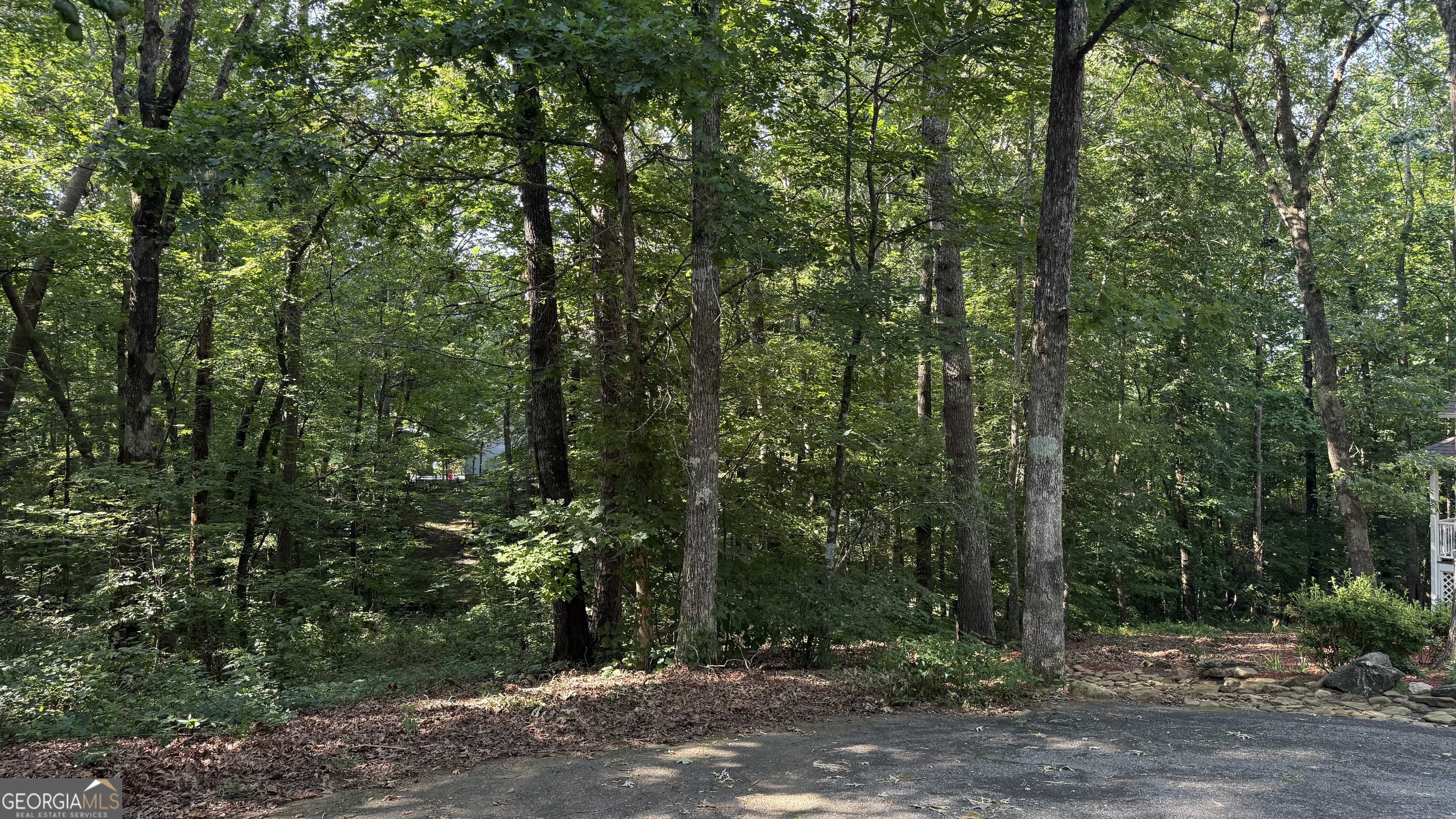 This is your opportunity to own a clean slate for your home. This lot is perfectly situated, offering easy access to schools, shopping centers, and popular local restaurants. Whether you're a builder looking for your next project or an investor seeking a centrally located development opportunity, this property checks all the boxes.