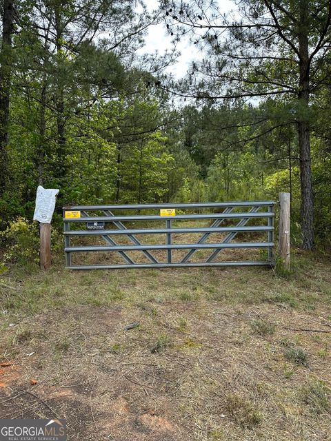 Unimproved Land in Washington GA 0 Lundburg Road.jpg