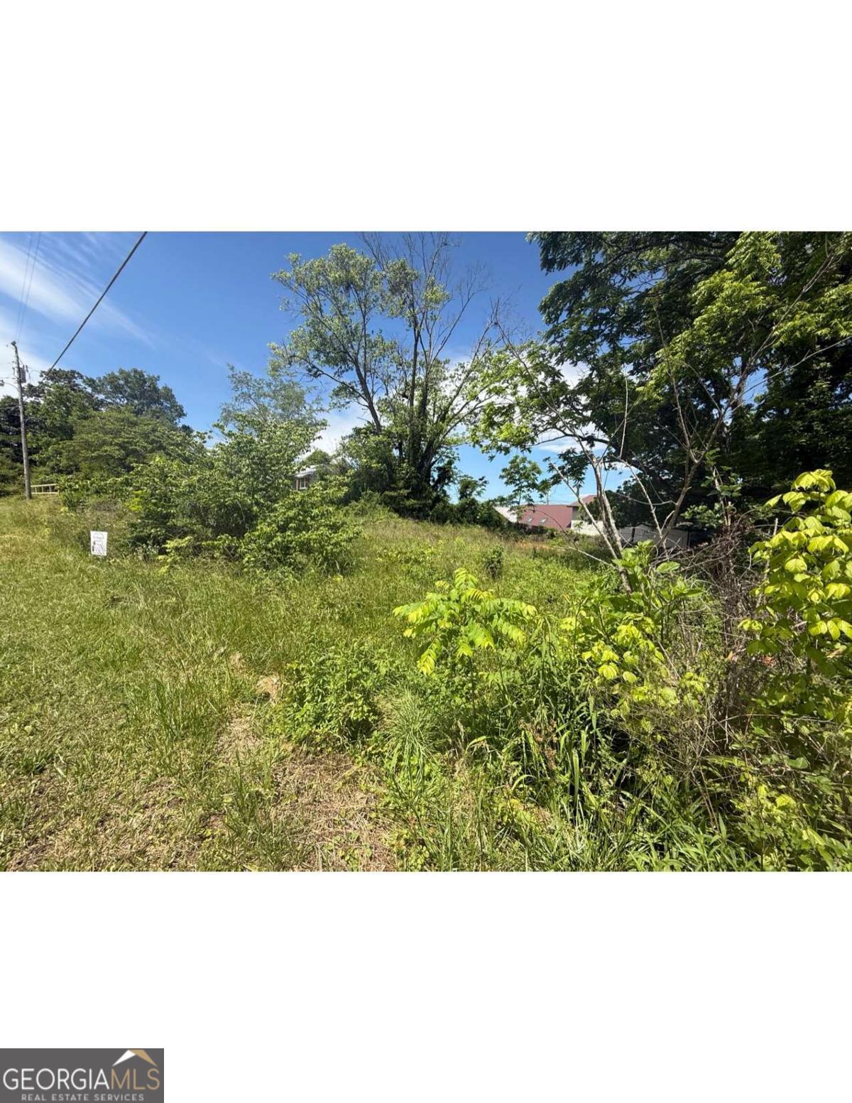 Rare opportunity to own a lot within walking distance of historic Downtown Blue Ridge! Level & gentle laying lot. Already tapped onto sewer & has water meter in place. Perfect spot for a vacation home, forever home, or long term rental investment.