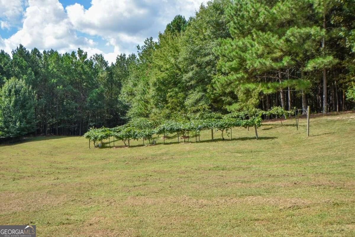 3616 Thompson Mill RD