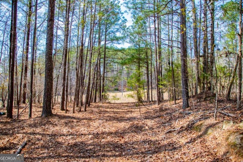 Photo of 3940 Clinton Court, Villa Rica, GA 30180 (MLS # 10822771)