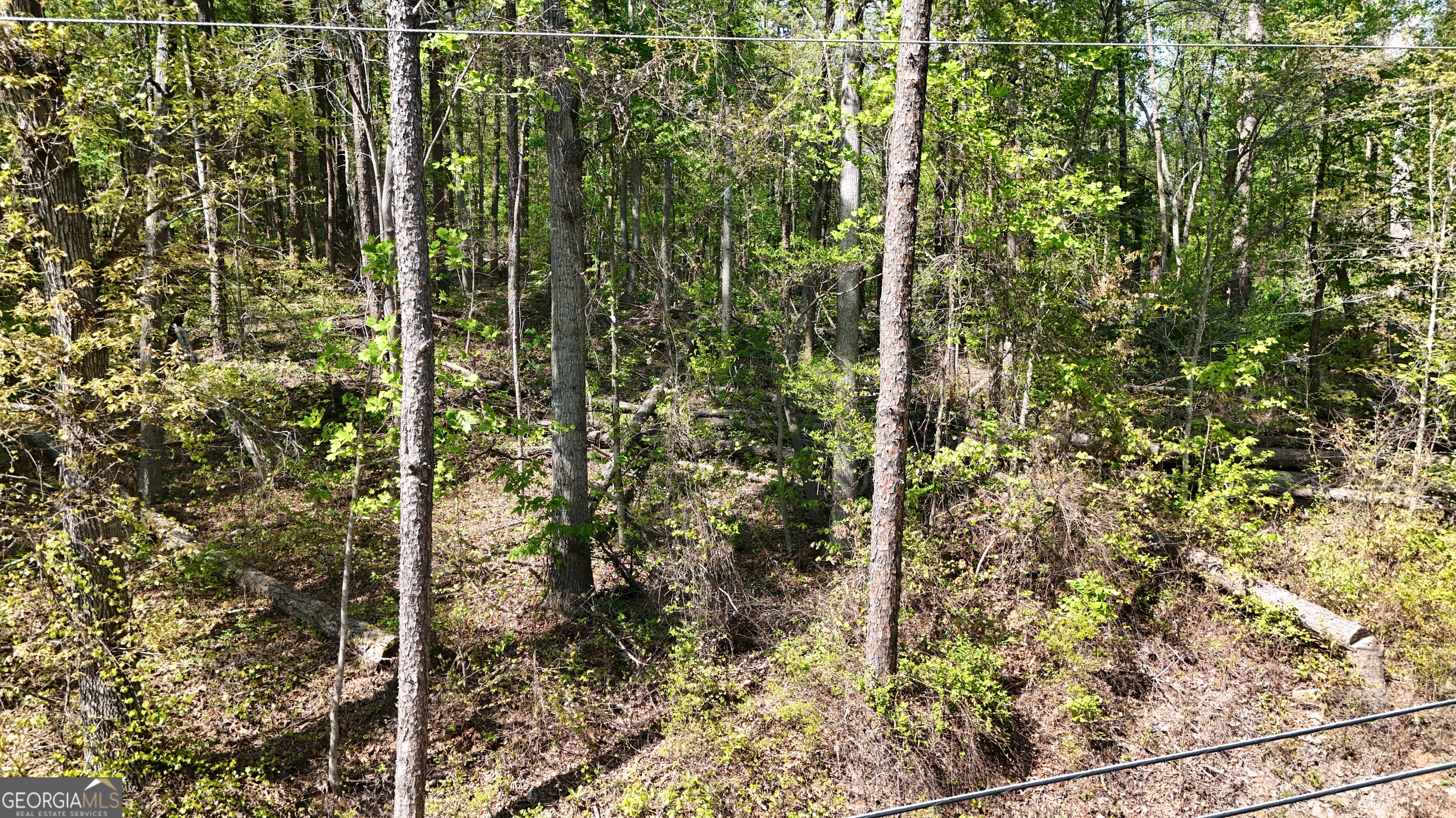 0 Holcomb North DR
