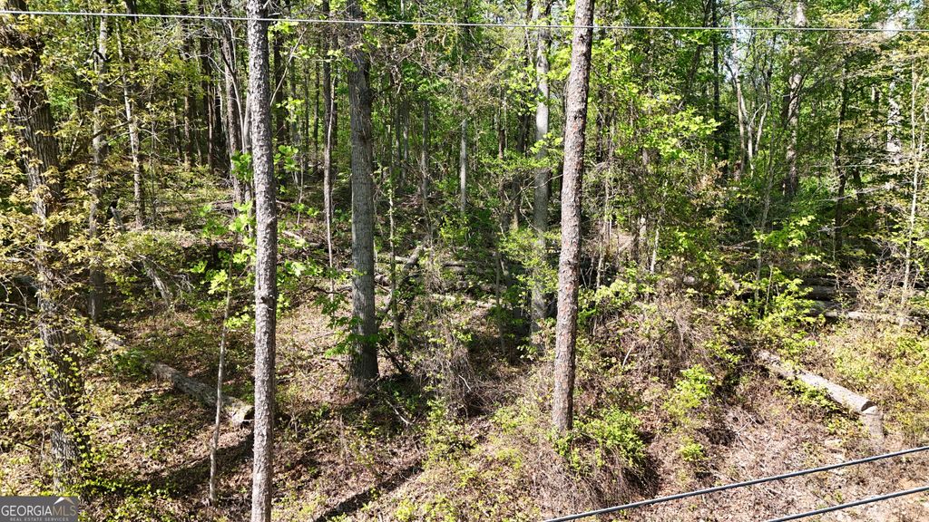 Photo of 0 Holcomb North Drive, Martin, GA 30557 (MLS # 10774719)