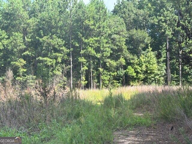 Photo of 3030 Wood Valley Court, Loganville, GA 30052 (MLS # 10823497)