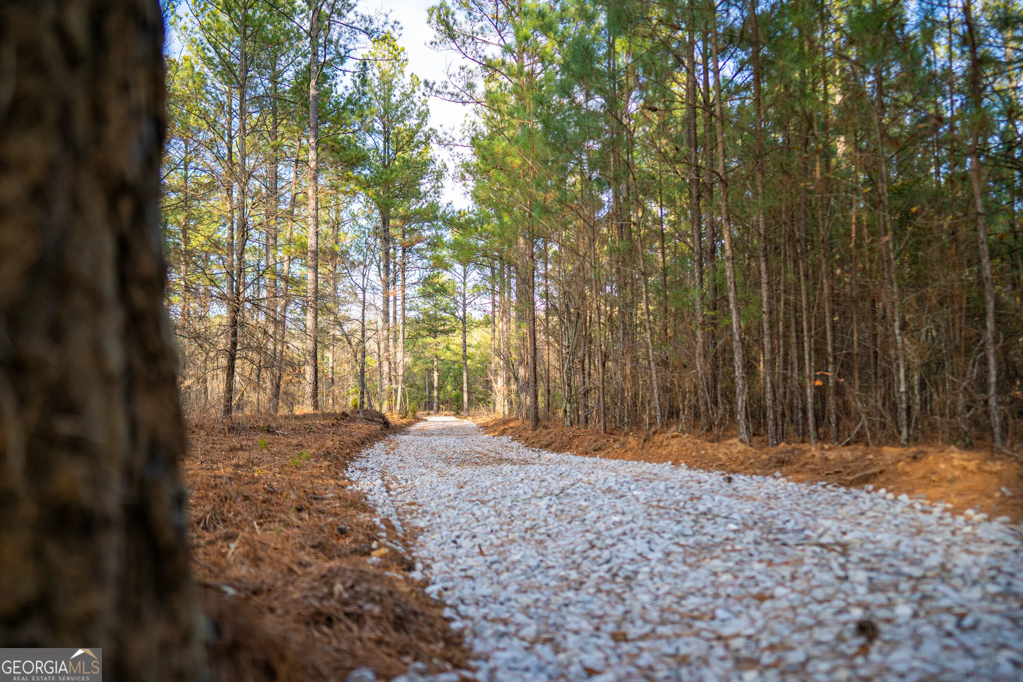 3 Smith Rocky Branch Road, Carlton, GA, 30627