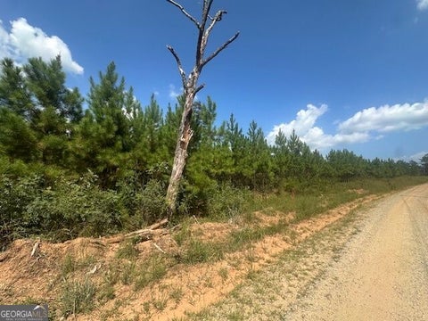 Photo of 0 Cook Road #TRACT 8, Monticello, GA 31064 (MLS # 10848930)