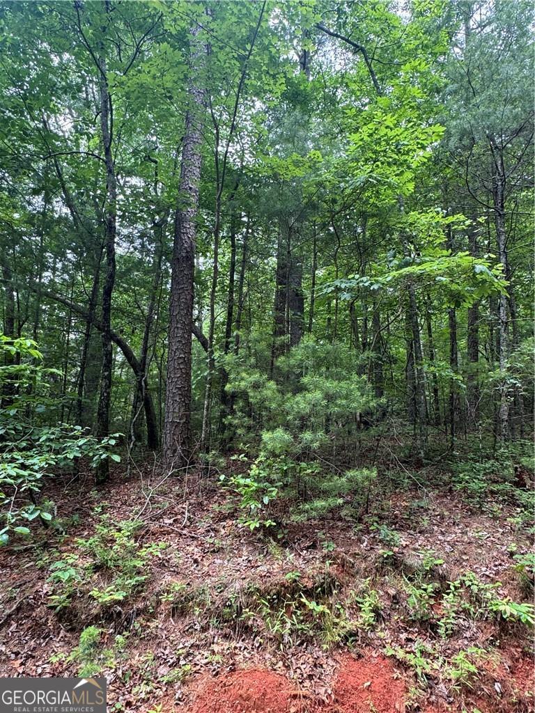 0 Nimblewill Creek RD