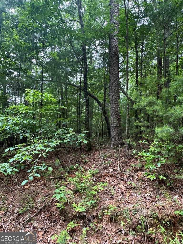 0 Nimblewill Creek RD