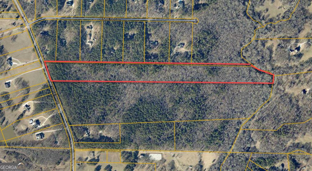 Photo of 0000 Padgett Road, Senoia, GA 30276 (MLS # 10736710)