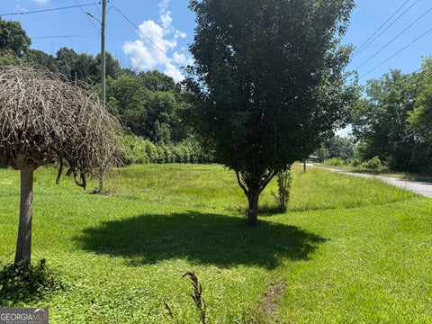 Photo of 2169 Silver Hill Road, Summerville, GA 30747 (MLS # 10784263)