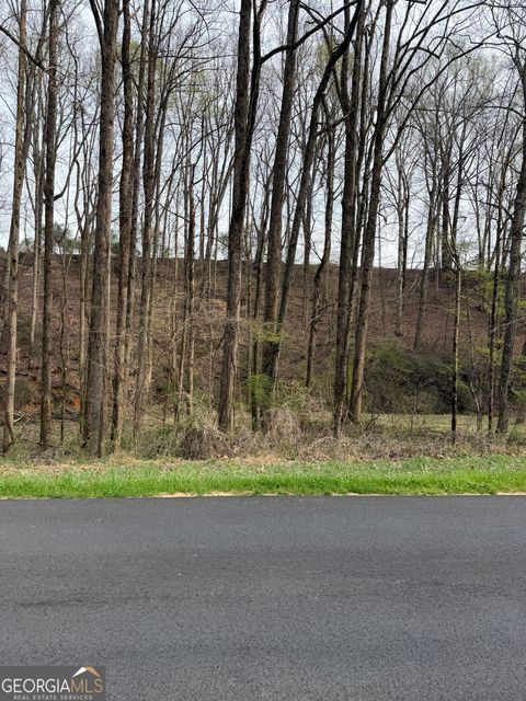 Photo of 3402 Cagle Road, Gainesville, GA 30501 (MLS # 10717339)