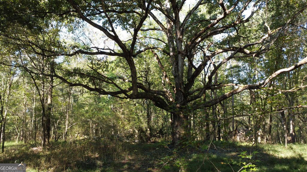 Photo of 0 Holiness Campground Road, Cleveland, GA 30528 (MLS # 10827710)