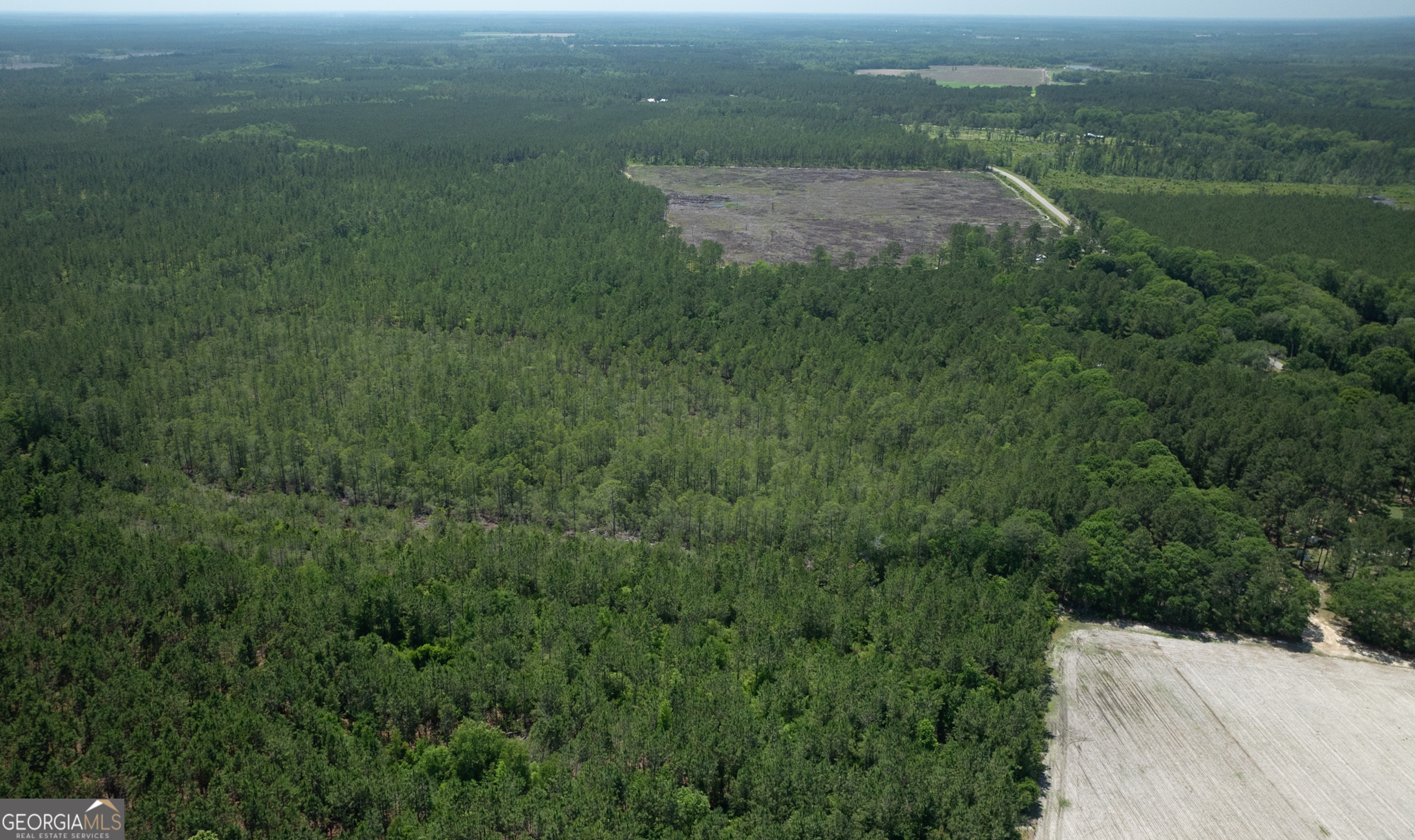 64.65 AC Bay Branch Church RD