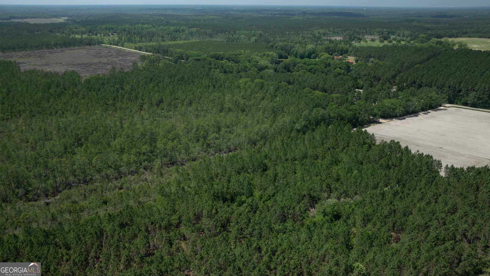 64.65 AC Bay Branch Church RD