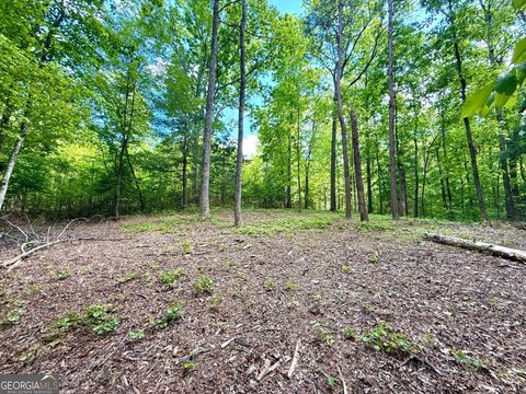164 Reindeer LN Talking Rock GA 30175