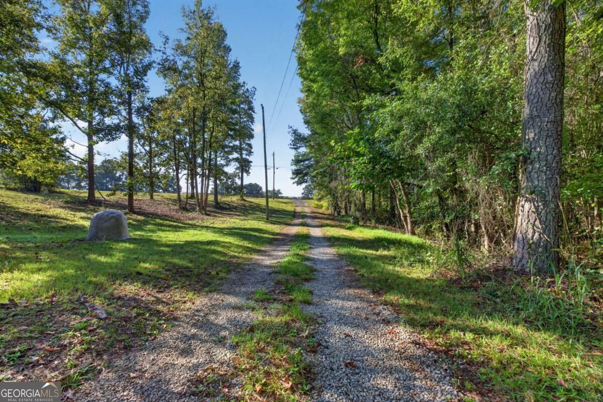 12208 BUCHANAN HWY