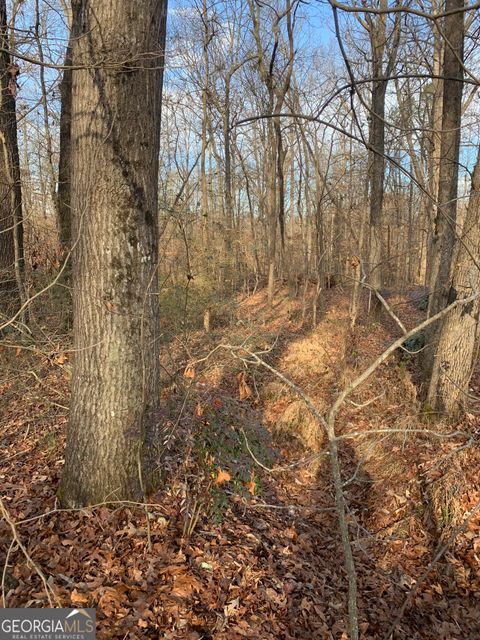 0 S Tanglewood DR Royston GA 30662