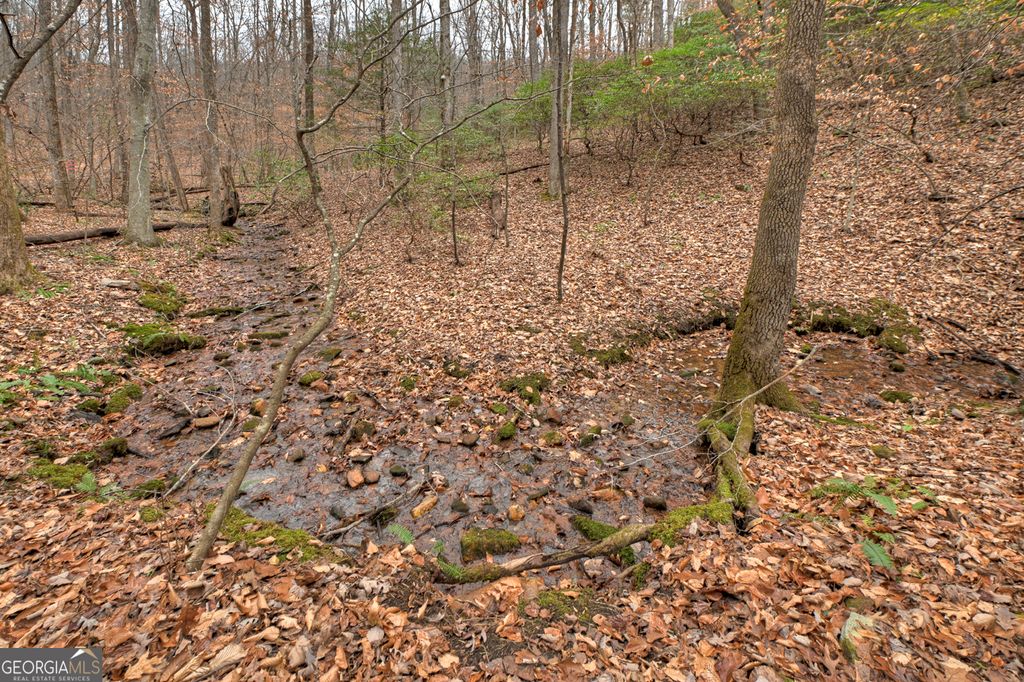 Photo of 00 Spruill Drive, Ellijay, GA 30536 (MLS # 10656113)