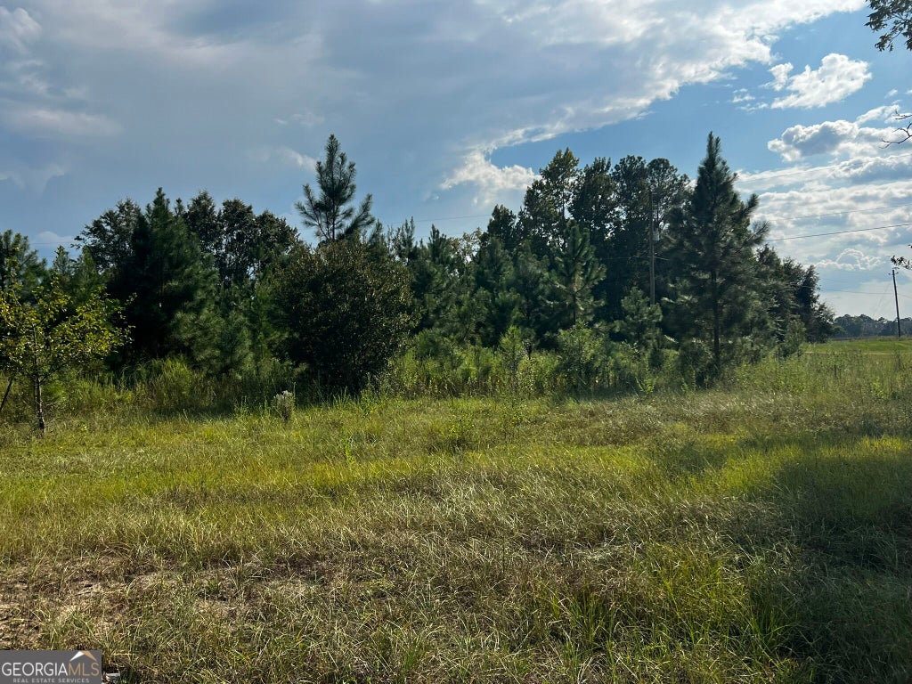 Photo of 3288 New Hope Rd, Odum, GA 31555 (MLS # 10870528)