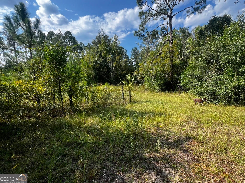 Photo of 3288 New Hope Rd, Odum, GA 31555 (MLS # 10870528)