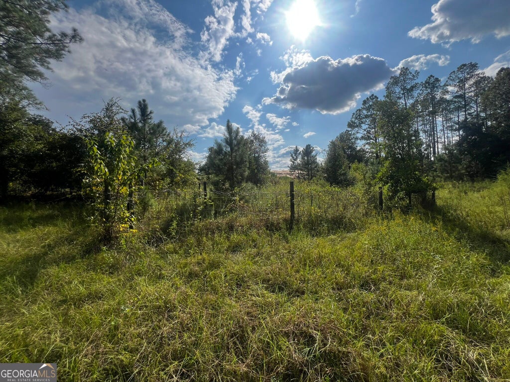Photo of 3288 New Hope Rd, Odum, GA 31555 (MLS # 10870528)