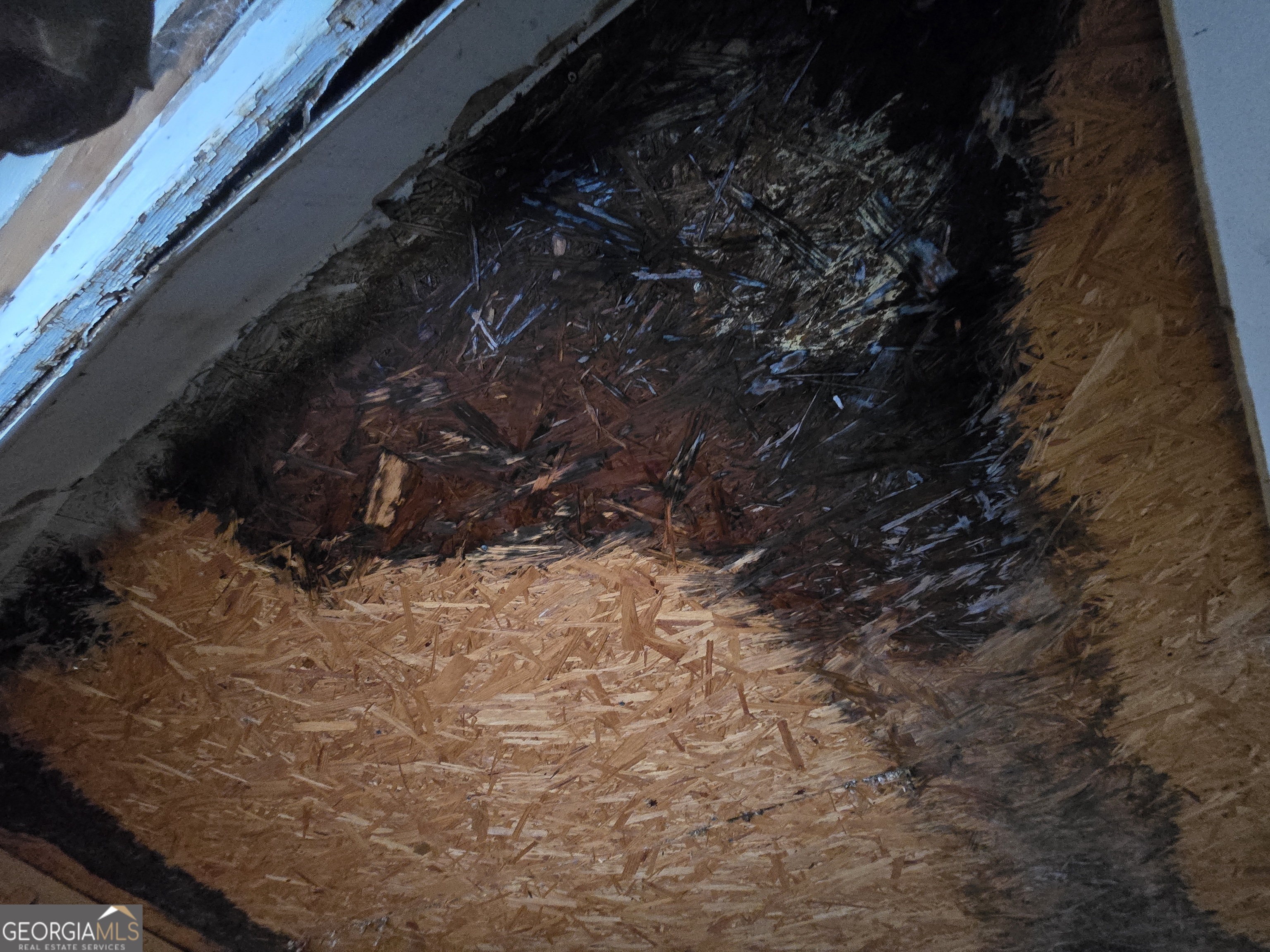 1595 Us Highway 319 N